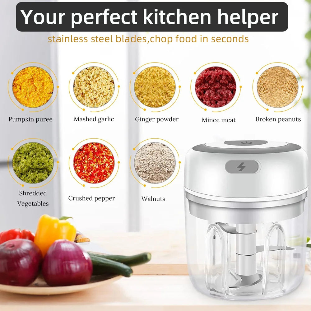 Electric Kitchen Mini Food Chopper 