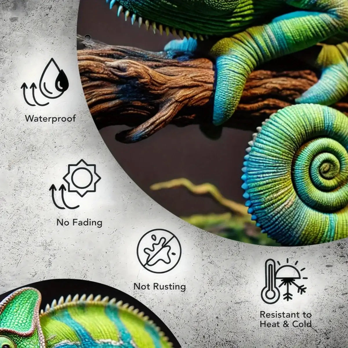 2D Aluminum Metal Sign Chameleon Art