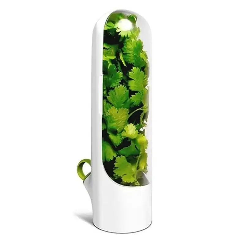 Single Herb Saver Container filled with cilantro, showcasing its vertical design and transparent lid for easy herb monitoring.