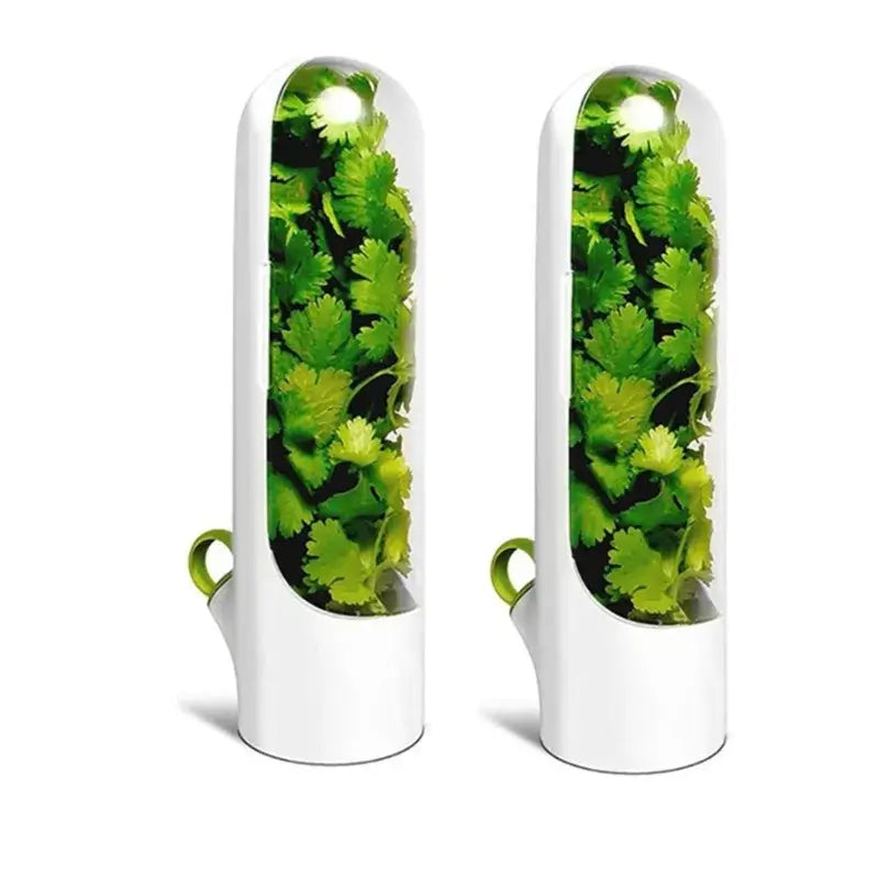 Two Herb Saver Containers filled with fresh cilantro, featuring a sleek white base and clear cover for optimal freshness and visibility.