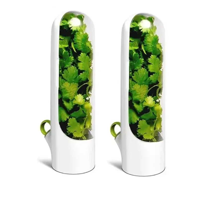 Pair of Herb Saver Storage Containers with fresh cilantro, designed to fit easily in refrigerators and extend herb shelf life.