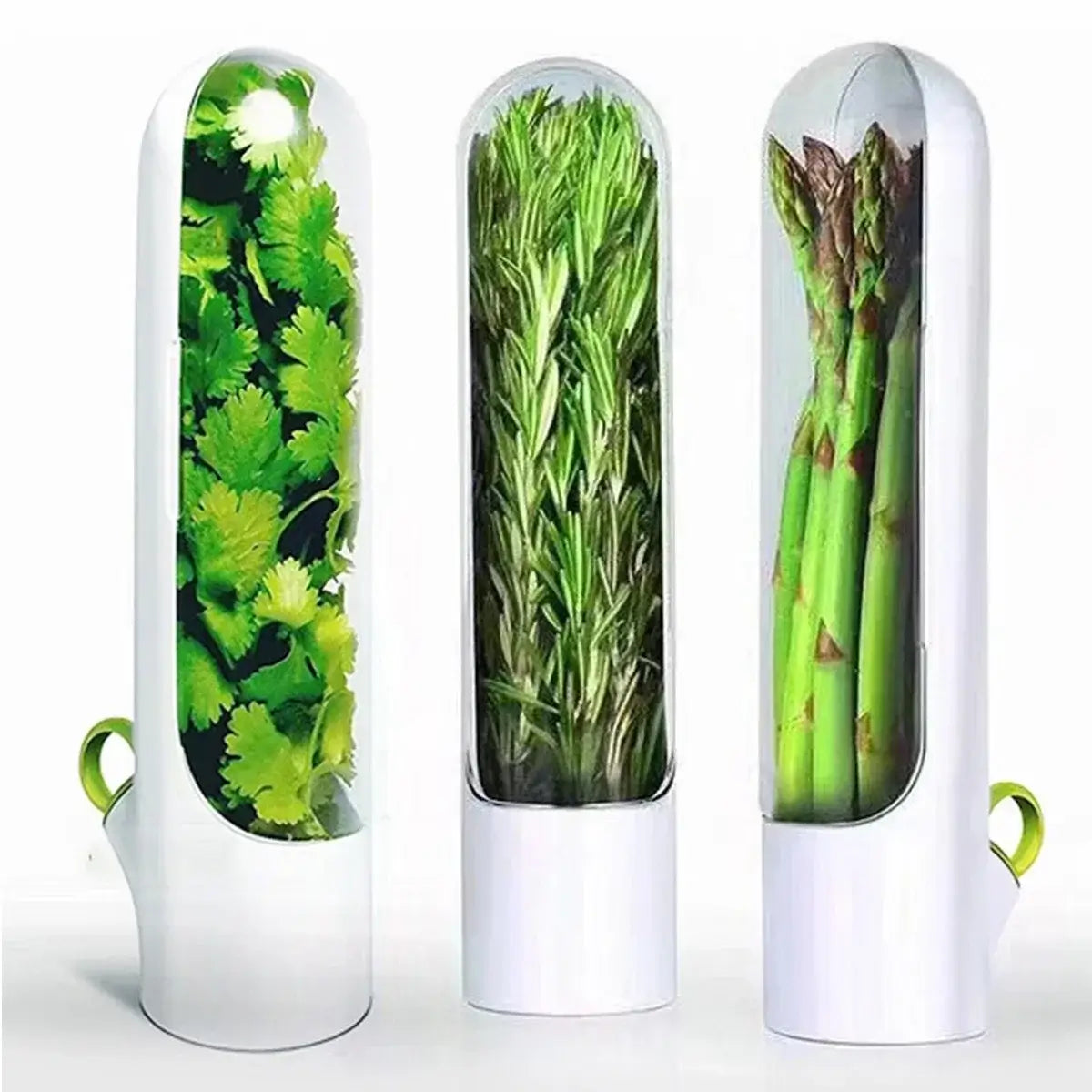 Three Herb Saver Containers storing cilantro, rosemary, and asparagus, ideal for keeping herbs fresh and organized in the fridge.