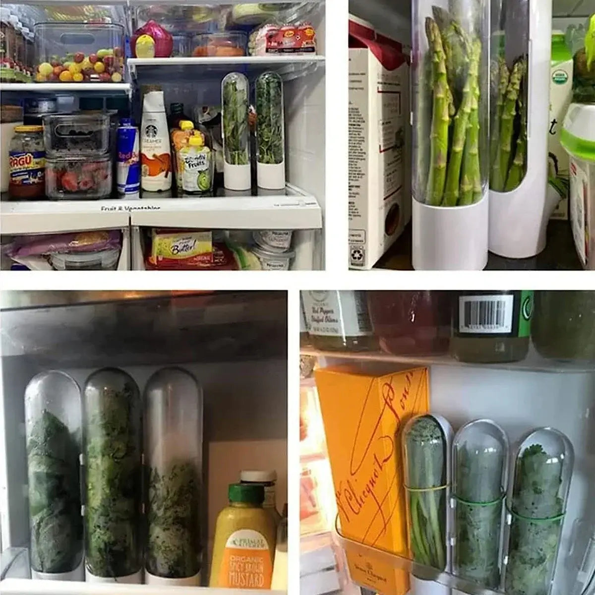 Multiple Herb Saver Containers neatly stored in various fridge compartments, preserving herbs like asparagus and cilantro efficiently.